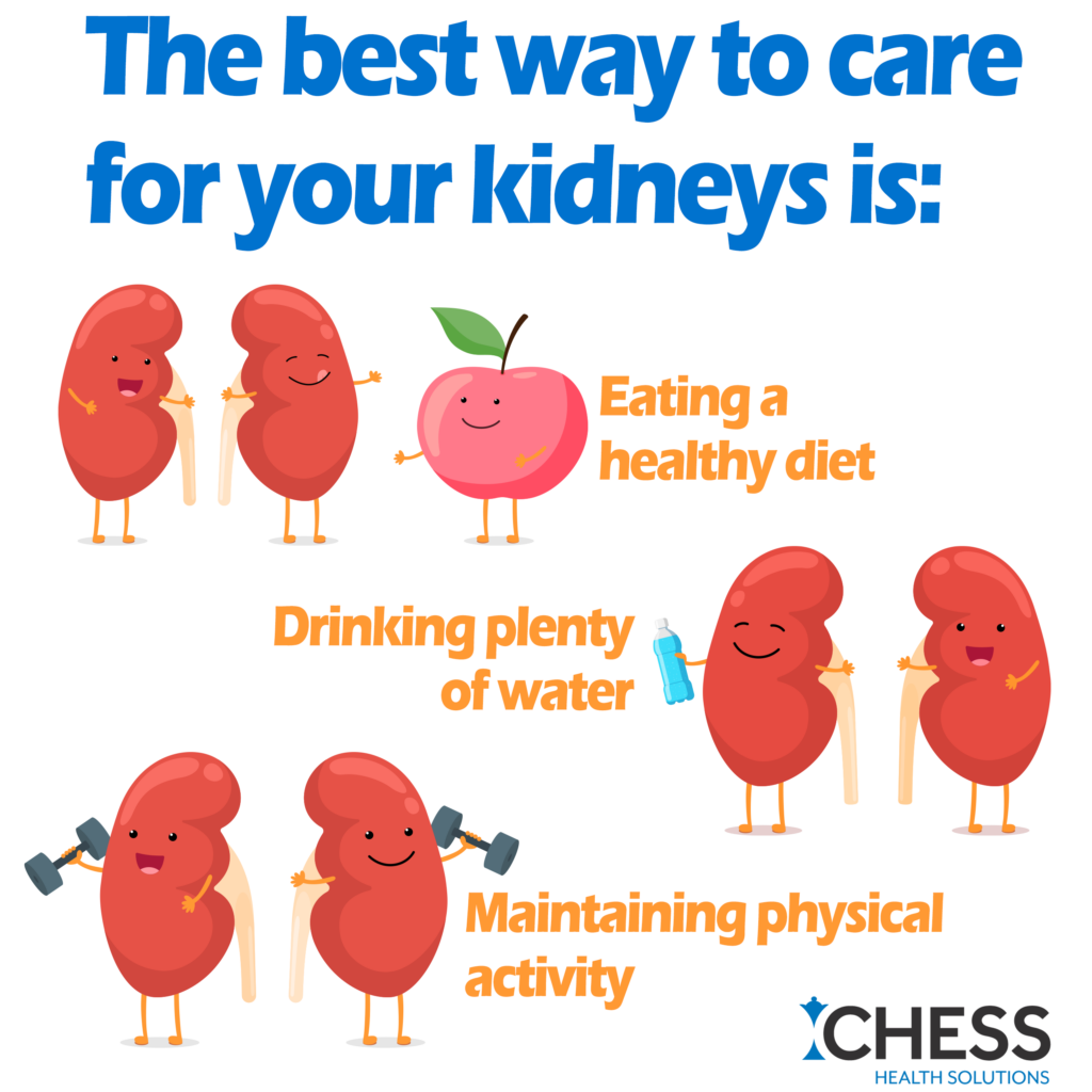 Kidney Health is Important to Well-being